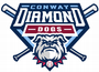 Conway Diamond Dogs