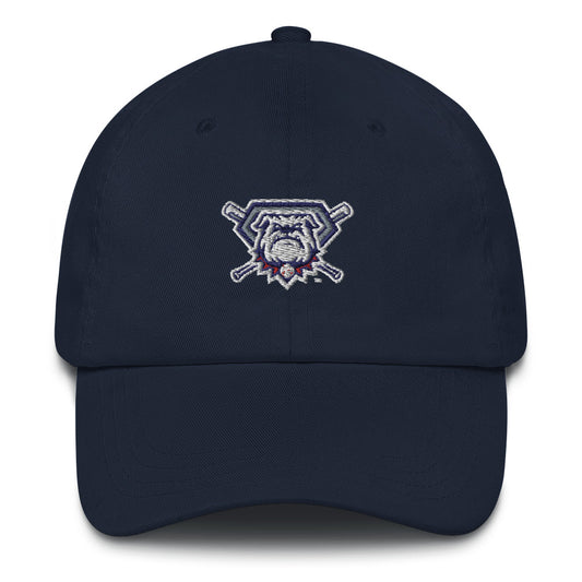 Classic embroidered Dad hat