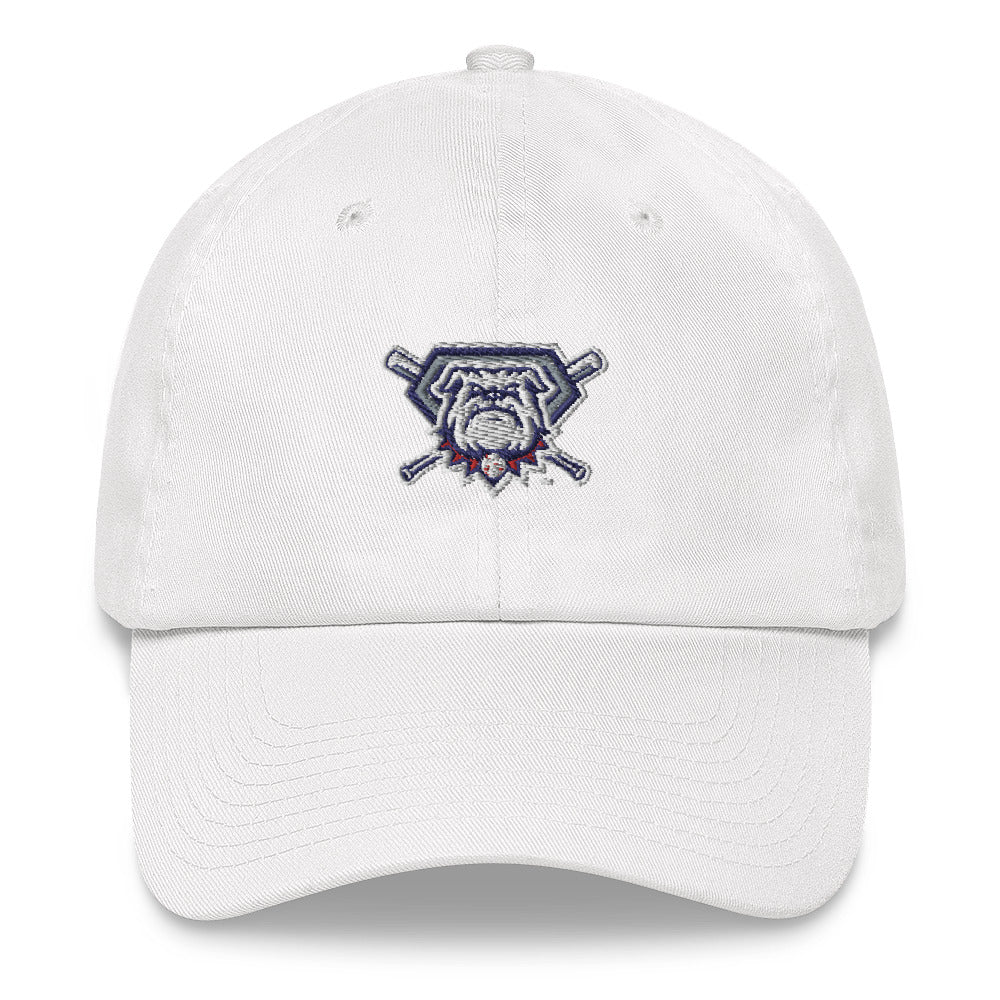 Classic embroidered Dad hat
